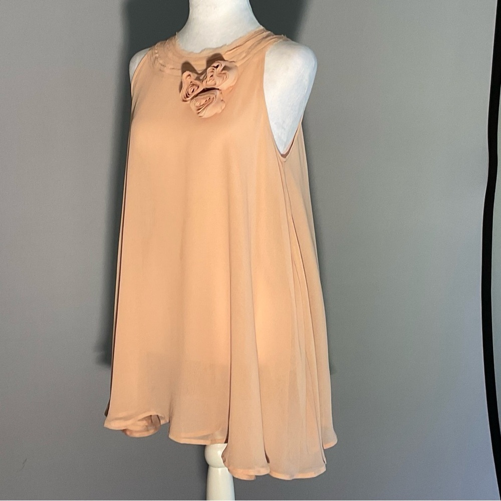 Twelve by Twelve Los Angeles Blush Chiffon Floral Appliqué Blouse Size S - Picture 14 of 16